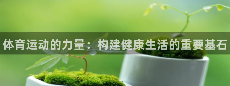 凯发官方正版app集团官网网址：体育运动的力量：构建