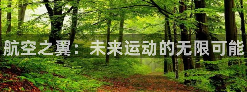 凯发官方正版app娱乐代理怎么样：航空之翼：未来运动