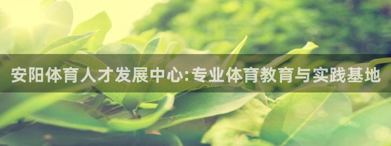 凯发官方正版app娱乐首页网站大全：安阳体育人才发展