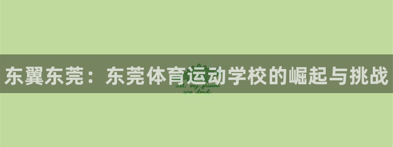 凯发官网下载平台注册：东翼东莞：东莞体育运动学校的崛