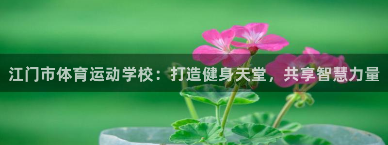 凯发官方正版app娱乐代理怎么样：江门市体育运动学校：打造健