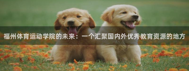 凯发官网下载招商电话地址查询：福州体育运动学院的未来：一个汇