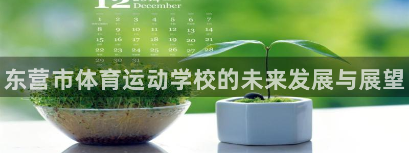 凯发官网下载：东营市体育运动学校的未来发展与展望