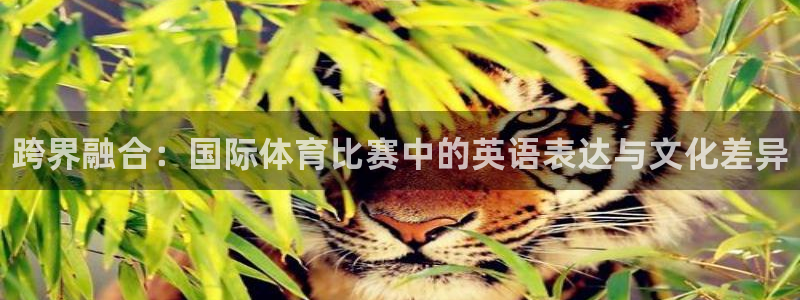 凯发官网下载招商电话是多少：跨界融合：国际体育比赛中的英语表
