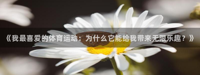 凯发官方正版app娱乐40996：《我最喜爱的体育运动：为什