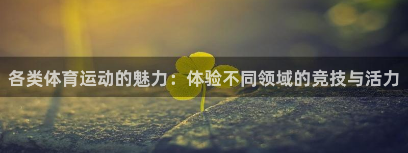 海南凯发官网下载