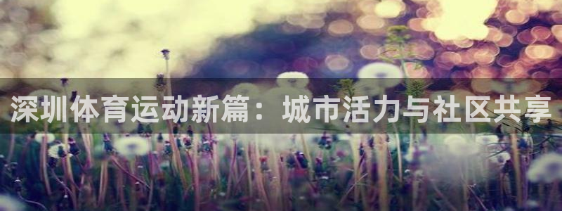 德国凯发官方正版app集团：深圳体育运动新篇：城市活力与社区