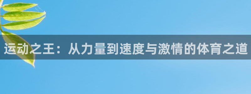 凯发官方正版app娱乐下载：运动之王：从力量到速度与激情的体