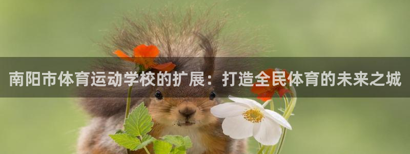 凯发官方正版app集团官网首页网址：南阳市体育运动学