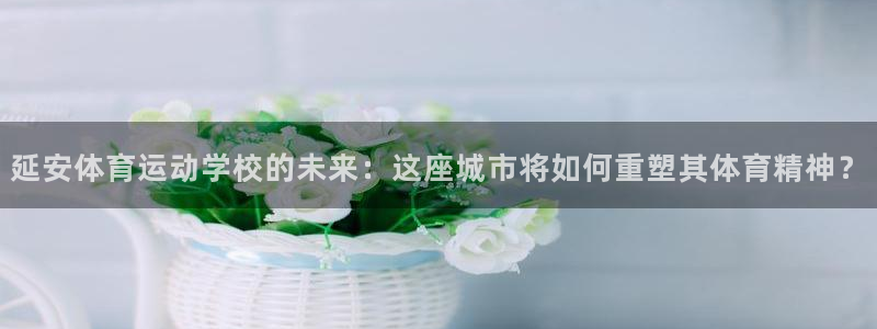 凯发官网下载平台注册流程图：延安体育运动学校的未来：