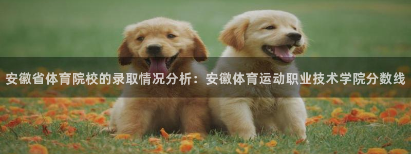 凯发官方正版app代理：安徽省体育院校的录取情况分析