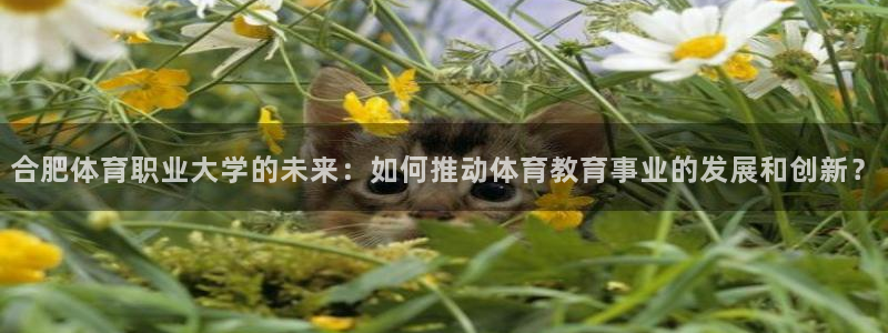 凯发官网下载招商电话号码是多少：合肥体育职业大学的未