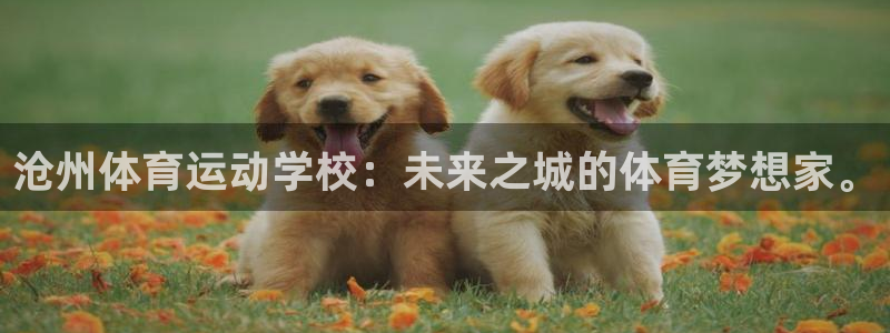 凯发官方正版app集团简介：沧州体育运动学校：未来之