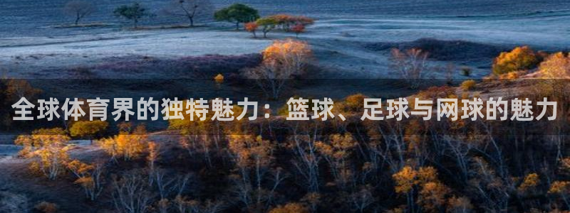凯发官方正版app神州：全球体育界的独特魅力：篮球、