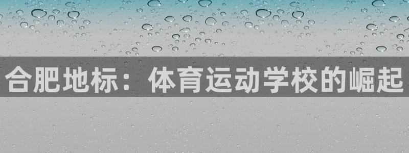 凯发官网下载招商电话：合肥地标：体育运动学校的崛起