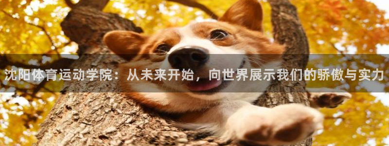 凯发官方正版app娱乐是那个系列的台子：沈阳体育运动学院：从