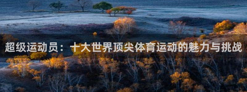 凯发官方正版app娱乐40996：超级运动员：十大世界顶尖体