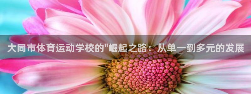 凯发官方正版app娱乐网站：大同市体育运动学校的\