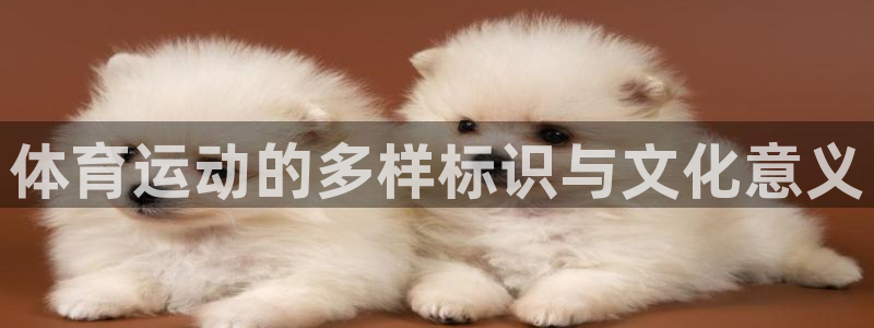 凯发官网下载招商电话是多少啊：体育运动的多样标识与文化意义