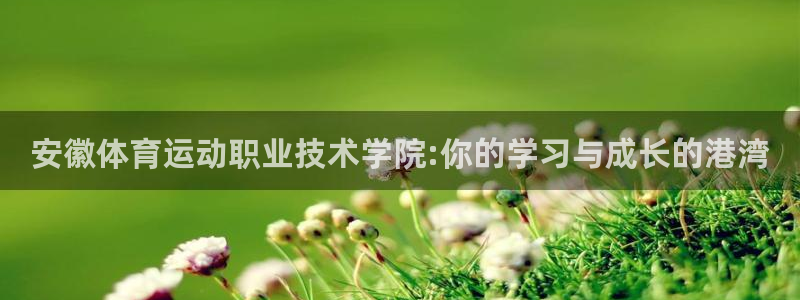 凯发官方正版app科技