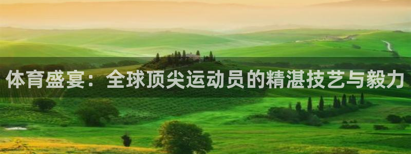 凯发官网下载平台注册要钱吗：体育盛宴：全球顶尖运动员的精湛技