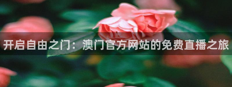 袋鼠直播体育五大球联赛：开启自由之门：澳门官方网站的免费直播之旅