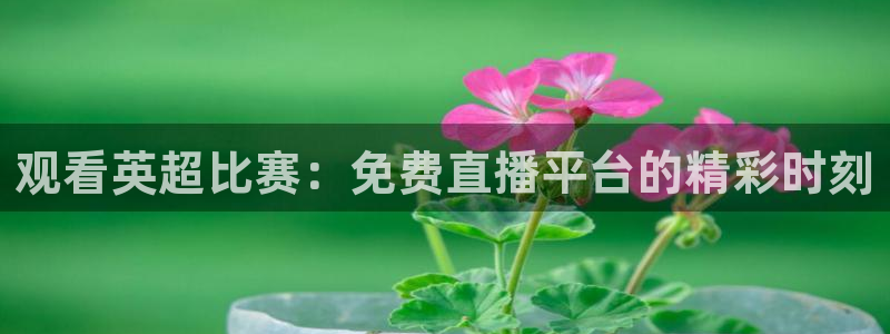 袋鼠nba直播在线观看：观看英超比赛：免费直播平台的精彩时刻